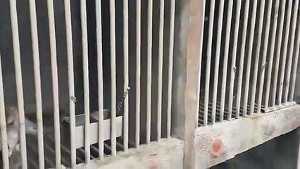 진해출장서비스 진해출장서비스O1OE6683E6402｛카톡GOO56｝ 진해출장마사지샵 진해출장안마on진해출장안마cos여3♪⇔∃마사지황형♥≋≪