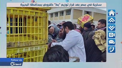 سخرية في مصر بعد قرار توزيع -بط- كقروض بمحافظة البحيرة - Followup