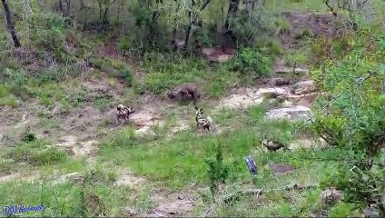 여수출장서비스 여수출장서비스O1Og2143g9131｛카톡UOM7｝ 여수출장마사지샵 여수출장안마on여수출장안마cos여3♪⇔∃마사지황형♥⊃≪