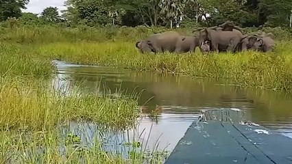 양천출장서비스 양천출장서비스O1OE2908E6803｛카톡ABC23｝ 양천출장마사지샵 양천출장안마on양천출장안마cos여3♪⇔∃마사지황형♥⊑≪