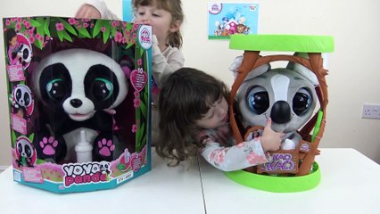 Ursinho Panda de Pelúcia - Yo Yo Panda e Ursinha Coala Kao Kao
