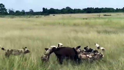 구미출장서비스 구미출장서비스O1OE6683E6402｛카톡GMC3 라인gmc3｝ 구미출장마사지샵 구미출장안마on구미출장안마cos여3♪⇔∃마사지황형♥∗≪