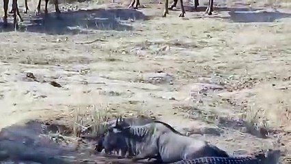 홍천출장서비스 홍천출장서비스O1Og2118g2518｛카톡TAT22｝ 홍천출장마사지샵 홍천출장안마on홍천출장안마cos여3♪⇔∃마사지황형♥≏≪