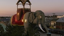 New Jersey's Iconic 'Lucy the Elephant' Is About to Be the Wildest Rental on Airbnb