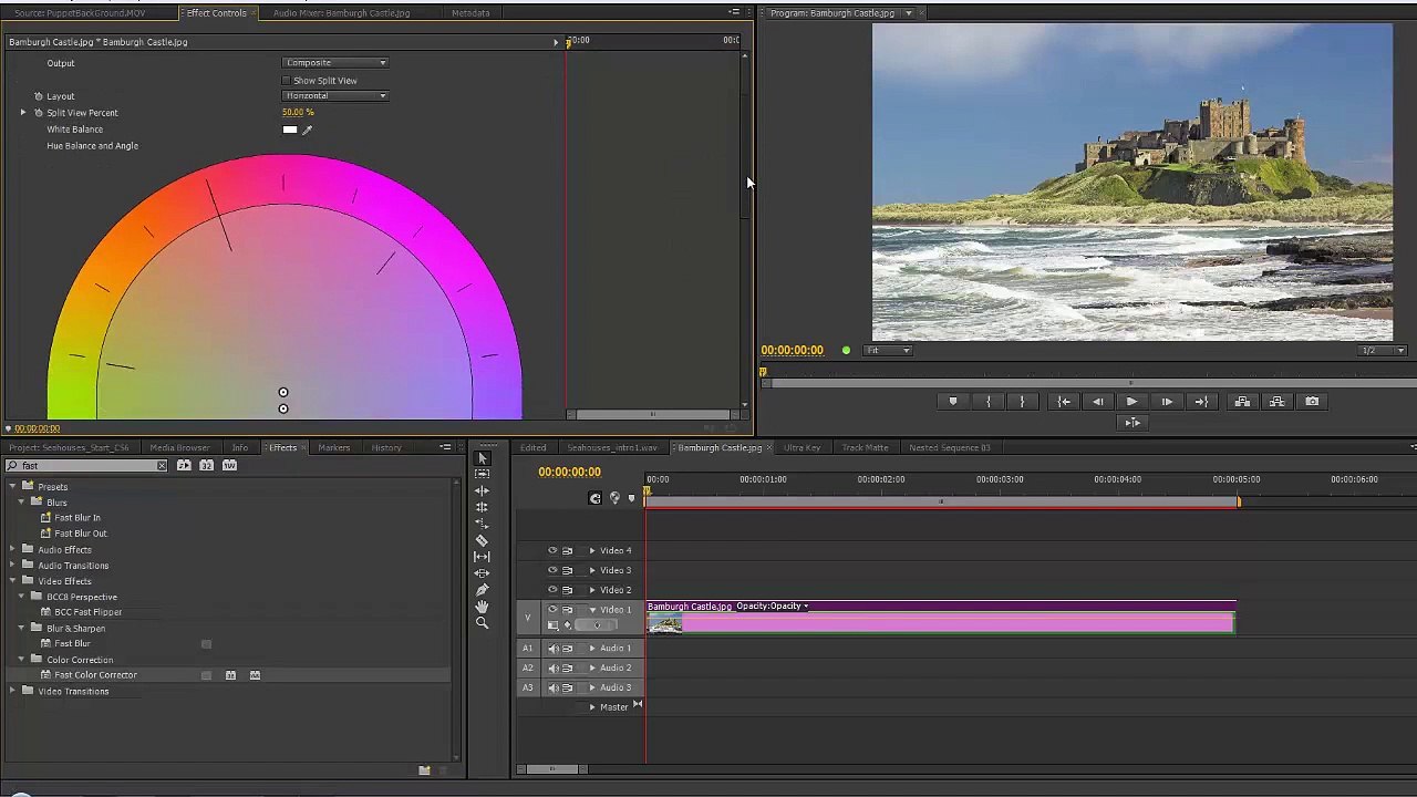 Premiere Pro CS6 100 Creative Black and White