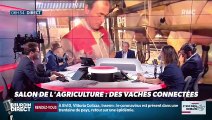La chronique d'Anthony Morel : Des vaches connectées au Salon de l'agriculture - 24/02