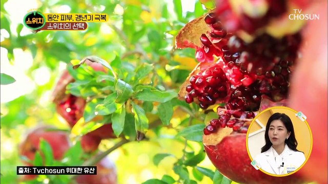 ʚ붉은 석류ɞ 갱년기 증상 완화 비밀은 ?