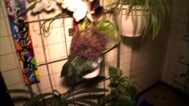 Cet homme vit sous un pont dans 100 m2