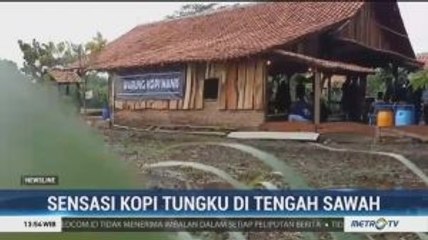 Sensasi Kopi Tungku di Tengah Sawah