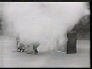 Tages - she's having a baby