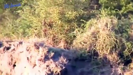 금천출장서비스 금천출장서비스O1OE9914E7203｛카톡DDD22｝ 금천출장마사지샵 금천출장안마on금천출장안마cos여3♪⇔∃마사지황형♥∰≪