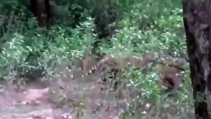 금천출장서비스 금천출장서비스O1Og2118g2518｛카톡KFC49｝ 금천출장마사지샵 금천출장안마on금천출장안마cos여3♪⇔∃마사지황형♥◙≪