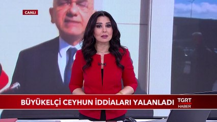 Büyükelçi Ceyhun Hakkındaki Cinayet İddialarını Yalanladı