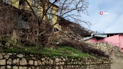 Yaban Keçileri İlçenin Müdavimi Oldu