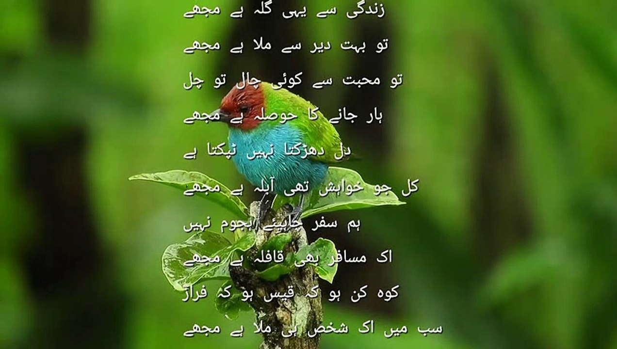 URDU POETRY
