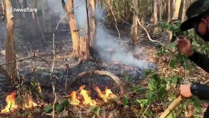 Grass fires add to air pollution in northern Thailand