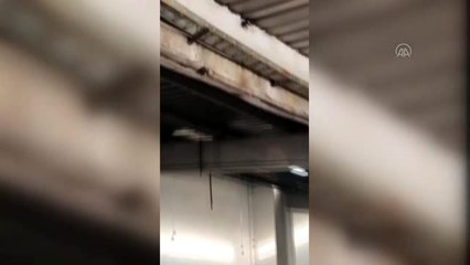 Ayağı kablolara sıkışan serçe, işçiler tarafından kurtarıldı