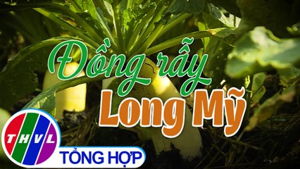 Nhịp sống đồng bằng: Đồng rẫy Long Mỹ