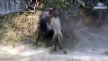 울산출장서비스 울산출장서비스O1Og2118g2518｛카톡KFC49｝ 울산출장마사지샵 울산출장안마on울산출장안마cos여3♪⇔∃마사지황형♥⊔≪