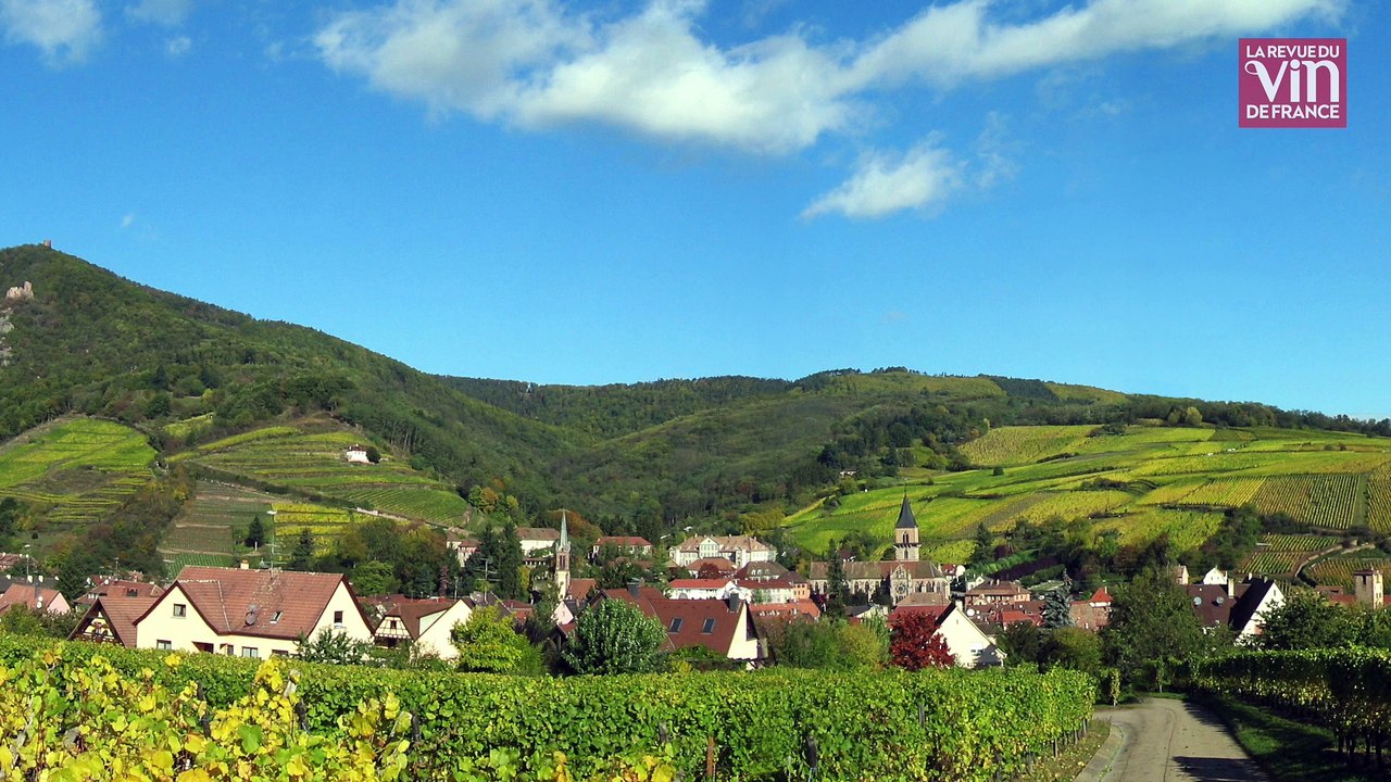 La Cave de Ribeauvillé fête ses 125 ans avec une nouvelle cuvée de riesling