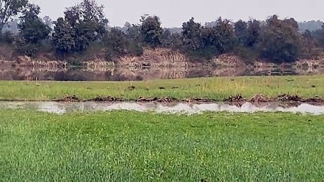 कहीं तेज धूप- कहीं बारिश, मौसम का बदला मिजाज़, इन इलाकों में बरसेंगे बदरा