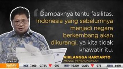 Menko Perekonomian Tidak Takut Dikeluarkan dari Negara Berkembang