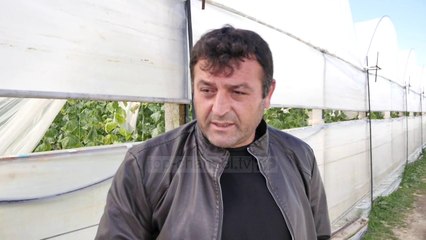 Fermerët do vazhdojnë protestën/ Fajësojnë mungesën e subvencioneve për falimentimin