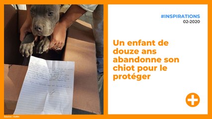 Un enfant de douze ans abandonne son chiot pour le protéger