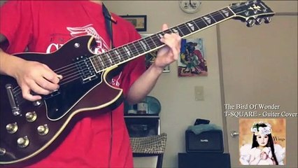 The Bird Of Wonder(Only Guitar solo)