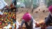 Farmers in Punjab distribute fruits for animals in road | Punjab | India