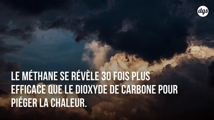Nous avons largement sous-estimé la quantité de méthane que nous rejetons dans l’atmosphère