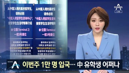 “中 유학생만 관리하면 뭐하나”…구멍난 수송 작전