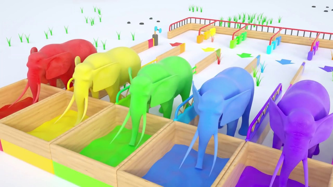 Couleurs pour que enfants apprennent avec éléphants et liquides magiques