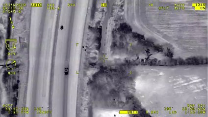 Watch the moment police catch burglars hiding up a tree in North Yorkshire