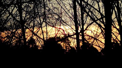 Jan 10 2020 DL3