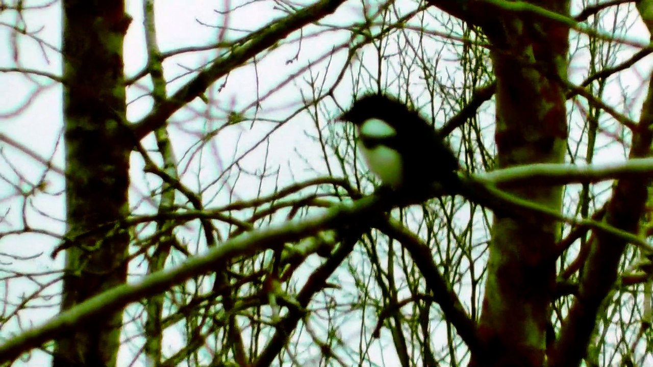 Jan 11 2020 DL2