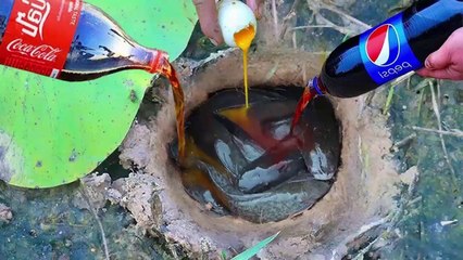 Experiment  : How To Catch A Lot Of Fish in Hole Using Coca Cola Vs Eggs Vs Pepsi