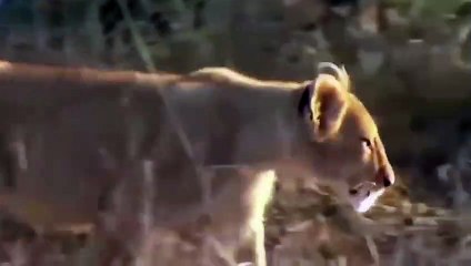 단원출장서비스 단원출장서비스O1Og4832g2166｛카톡MGM85｝ 단원출장마사지샵 단원출장안마on단원출장안마cos여3♪⇔∃마사지황형♥⊃≪