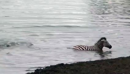 삼척추천업소【OI0↔29O8↔68O③】삼척추천업소예약♥⊍≪