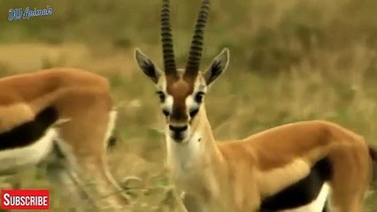 경남출장서비스 경남출장서비스O1Og4832g2166｛카톡BBC42｝ 경남출장마사지샵 경남출장안마on경남출장안마cos여3♪⇔∃마사지황형♥≢≪