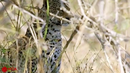 양평출장서비스 양평출장서비스O1Og2143g9131｛카톡KOM88｝ 양평출장마사지샵 양평출장안마on양평출장안마cos여3♪⇔∃마사지황형♥≑≪