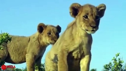 전북출장서비스 전북출장서비스O1Og4832g2166｛카톡QQ565｝ 전북출장마사지샵 전북출장안마on전북출장안마cos여3♪⇔∃마사지황형♥≾≪