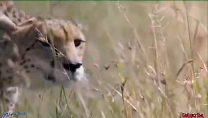 강동출장서비스 강동출장서비스O1OE2541E2560｛카톡SUV9｝ 강동출장마사지샵 강동출장안마on강동출장안마cos여3♪⇔∃마사지황형♥◯≪