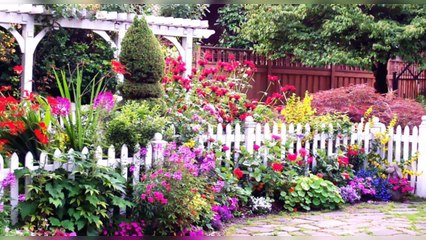 My beautiful home garden