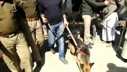शामली -शासन के निर्देश पर कोर्ट परिसर में डॉग स्क्वाड की टीम ने किया निरीक्षण।