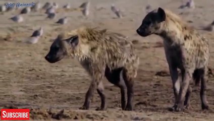 중랑출장서비스 중랑출장서비스O1OE6579E3382｛카톡RMB7｝ 중랑출장마사지샵 중랑출장안마on중랑출장안마cos여3♪⇔∃마사지황형♥≗≪