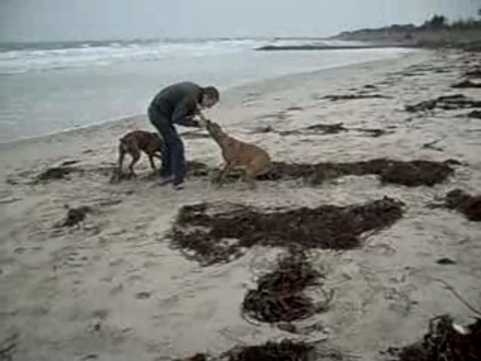 bouba et kaizer