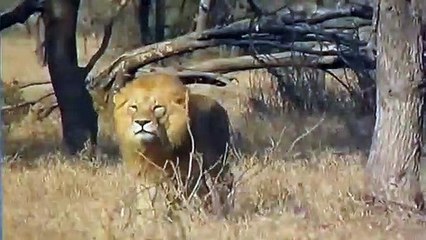 경기출장서비스 경기출장서비스O1Og2143g9131｛카톡UOM7｝ 경기출장마사지샵 경기출장안마on경기출장안마cos여3♪⇔∃마사지황형♥◍≪