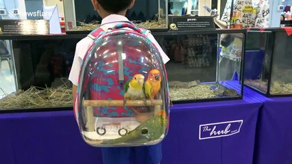 Schoolboy carries his pet birds in special backpack