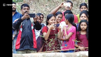 Rescued baby elephant becomes friends with forest guard carers in south India